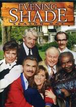 Watch Evening Shade Gomovies123