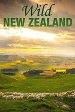 Watch Wild New Zealand Gomovies123